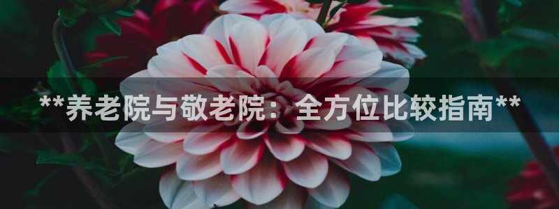 韦德1946娱乐手机版