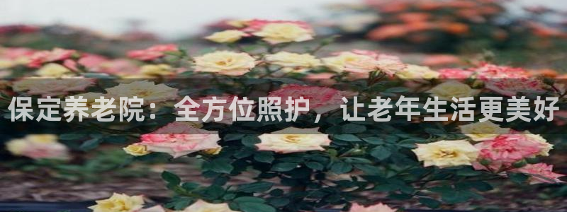 韦德官网在线