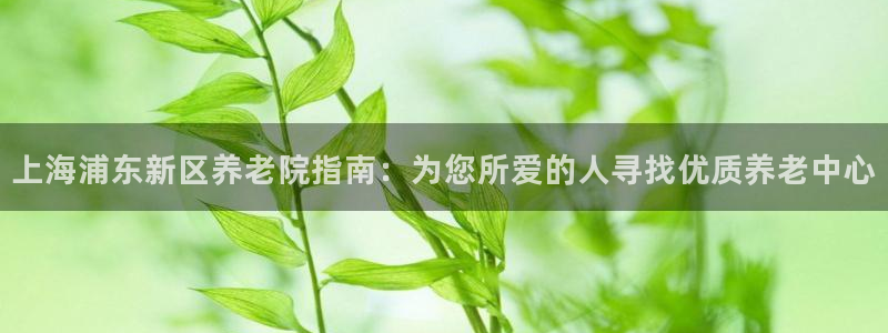 韦德的游戏