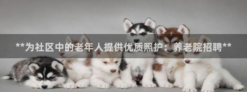 韦德 官网