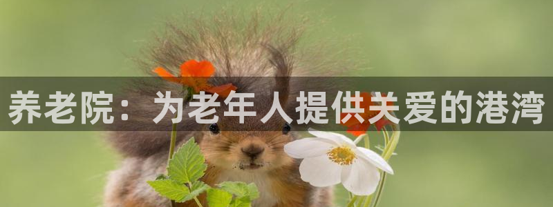 韦德com