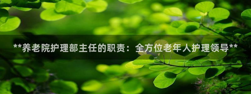 韦德网站是多少