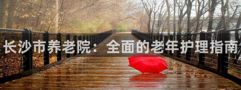 韦德网站是多少