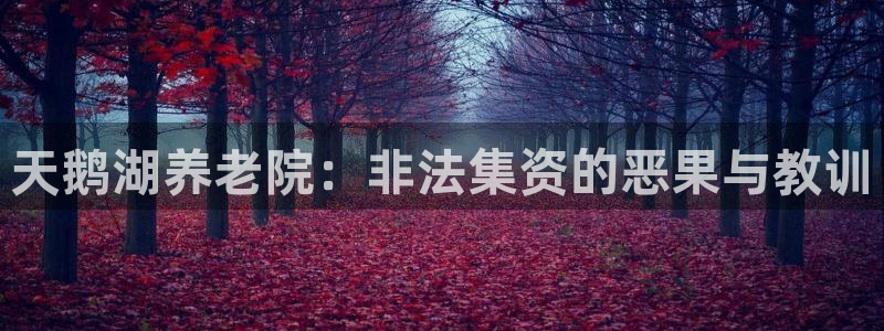 韦德1946客户端