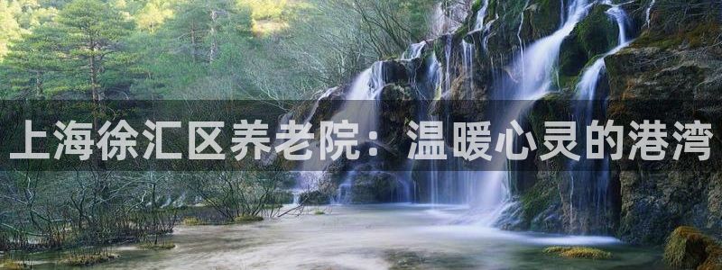 韦德官网在线