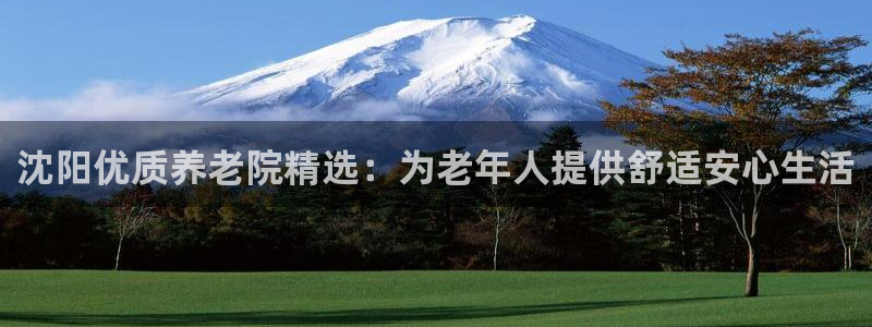 韦德2014