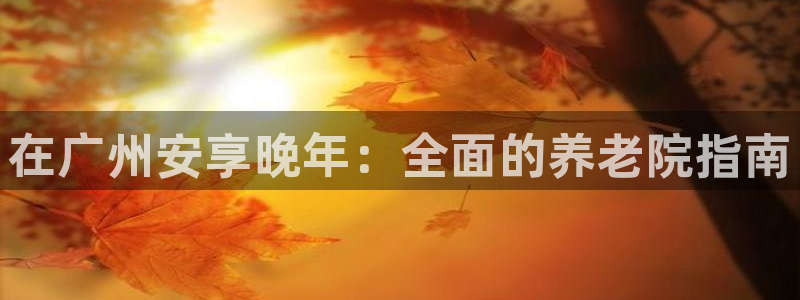 韦德国际体育