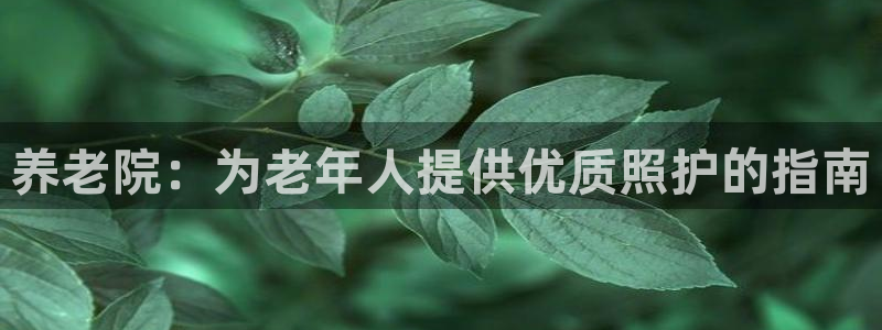 韦德属于什么