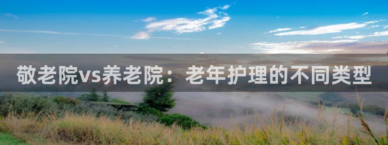 韦德1946官方