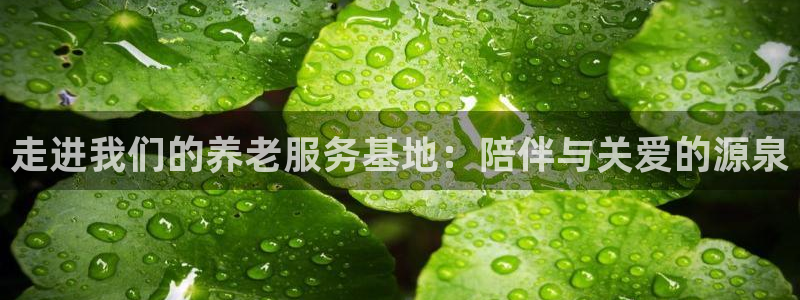 韦德惨案