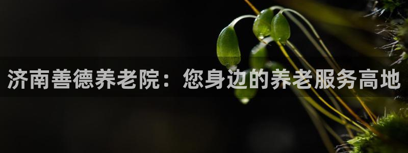 韦德属于什么
