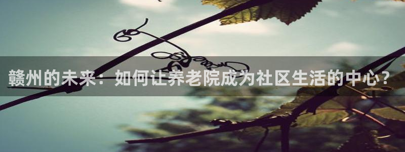 韦德1946官方网站