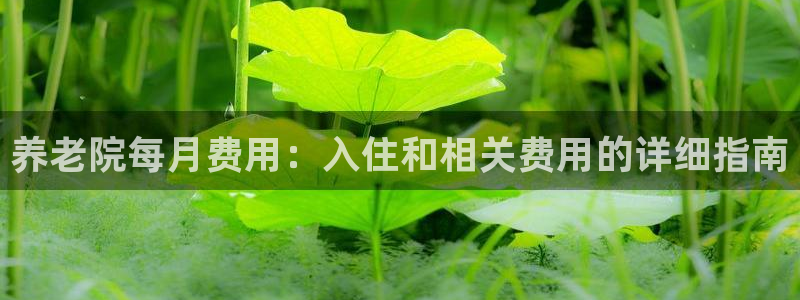 韦德1946备用网站