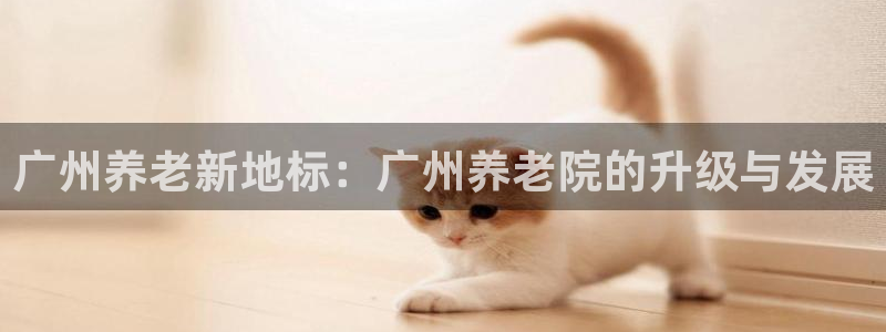 韦德1946手机版