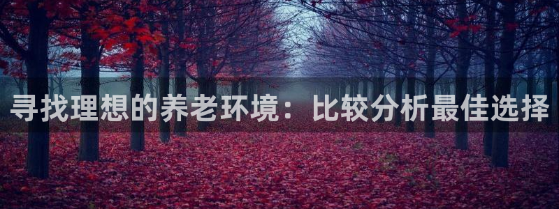 韦德1946娱乐手机版