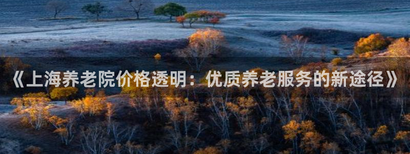韦德游戏是什么