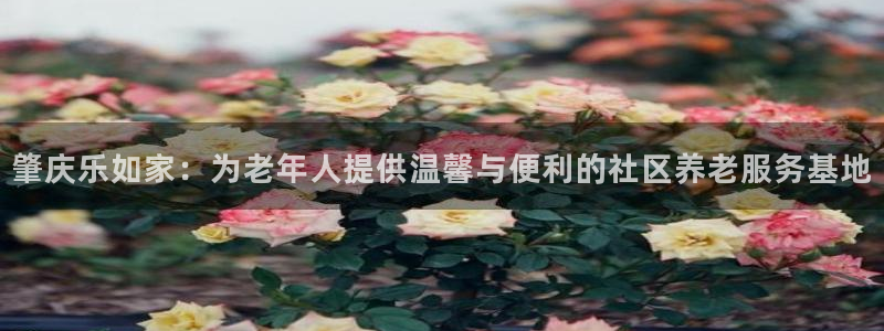 韦德bietview官网