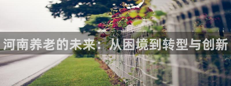 韦德1946始于英国