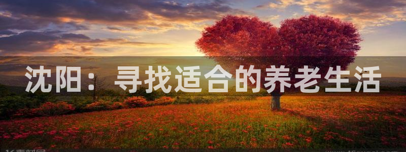 韦德1946博客