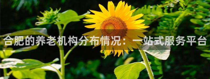 韦德游戏注册是搞什么的