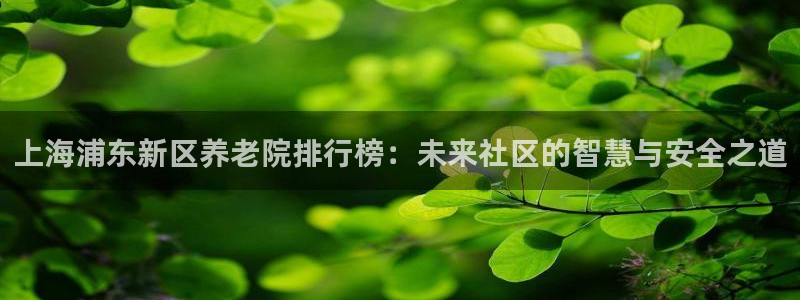 韦德游戏是什么