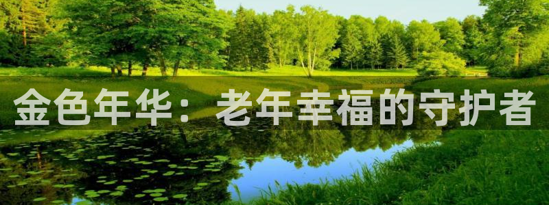 韦德 网站