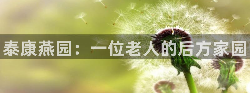 韦德网站官网