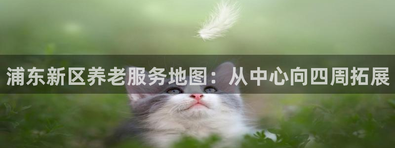 韦德1946手机网址