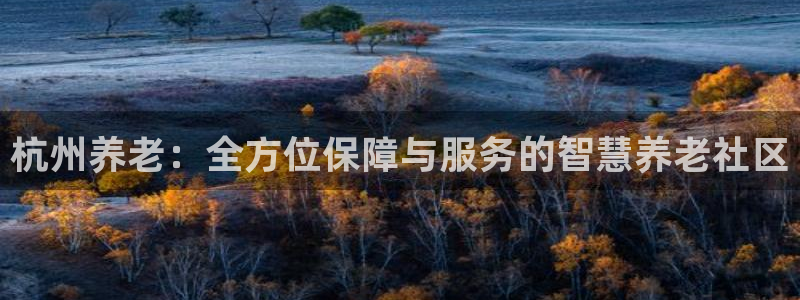 韦德网站是多少