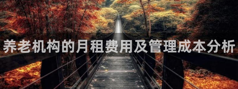 韦德1946手机