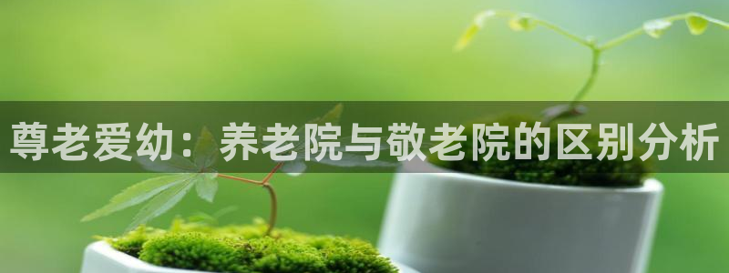 韦德游戏网址