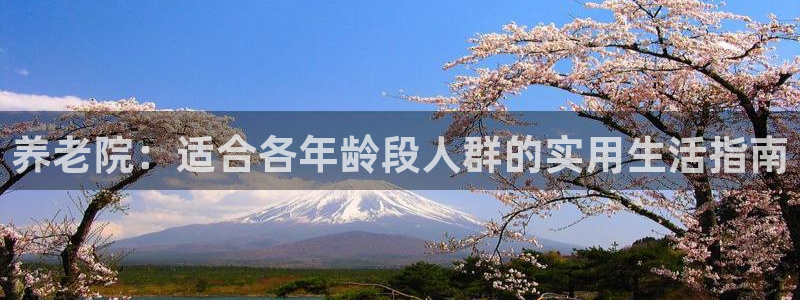 韦德合集