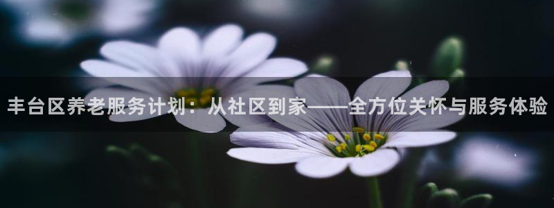 韦德1946体育
