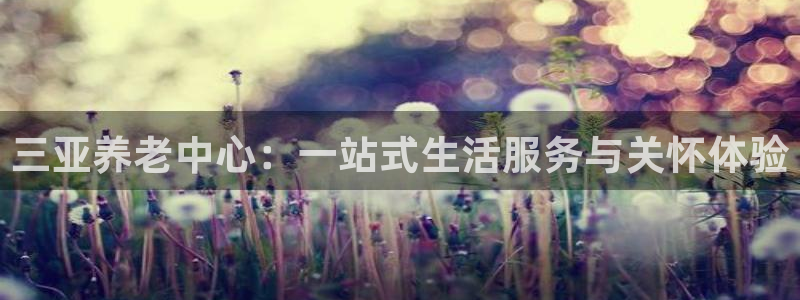 韦德1946始于英国