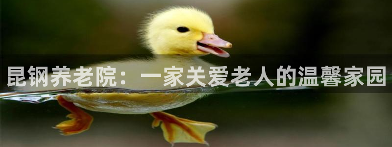 韦德1946体育官方入口