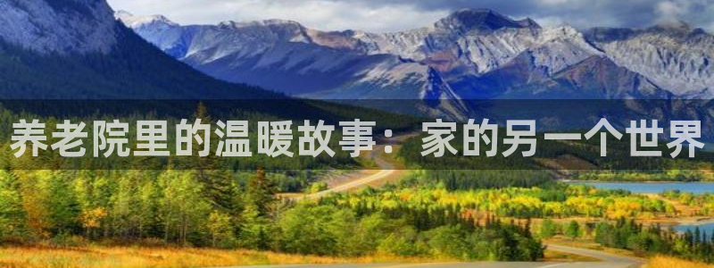 韦德2014