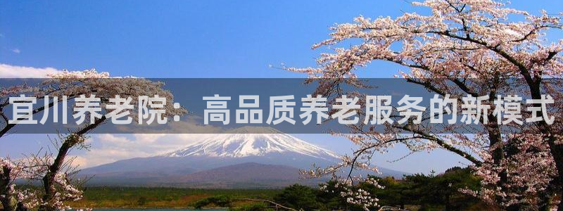 1946韦德官方网站