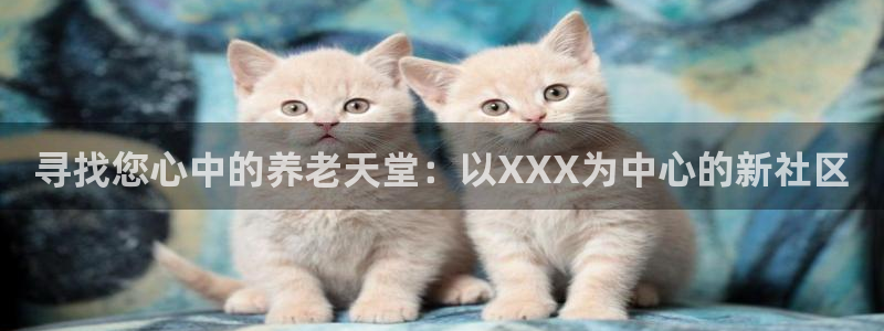韦德1946体育