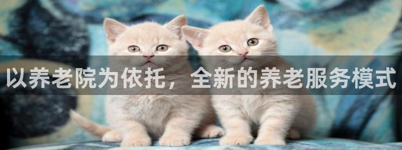 韦德国际体育