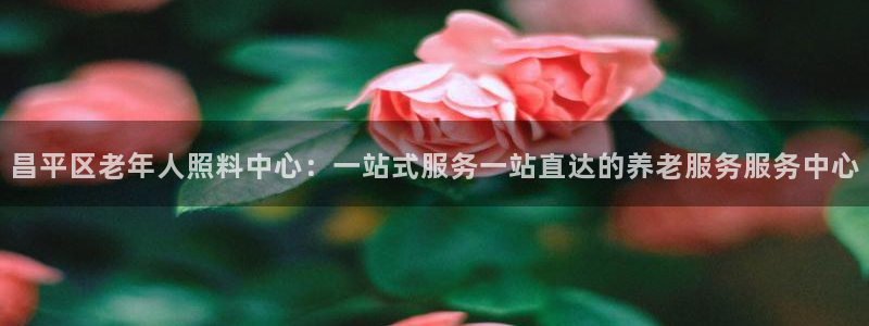 韦德1946博客