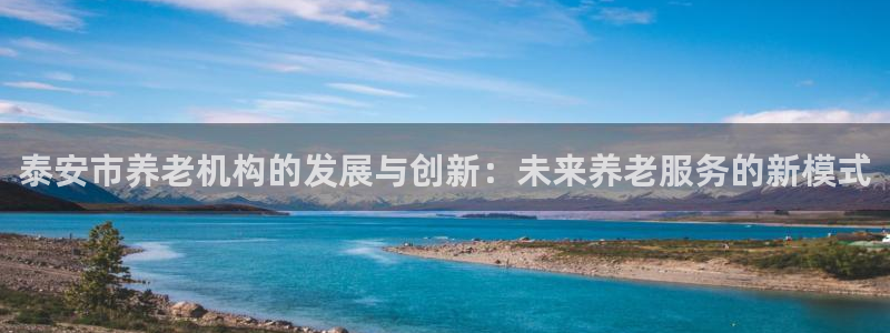 韦德游戏是什么