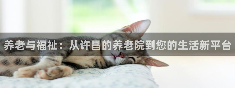 韦德合集