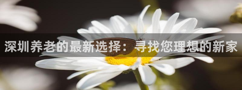 韦德app官方网站