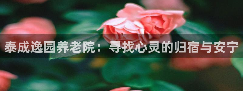 韦德官网注册推荐网站下载