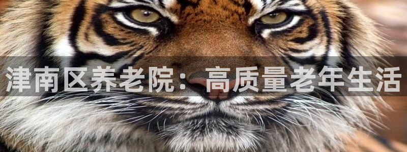 韦德游戏注册要用驾驶证嘛