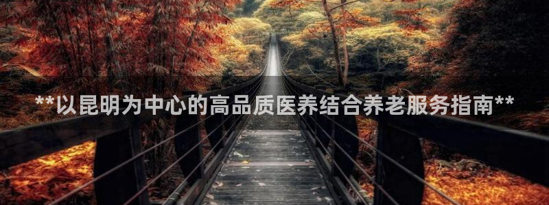 韦德网站是多少