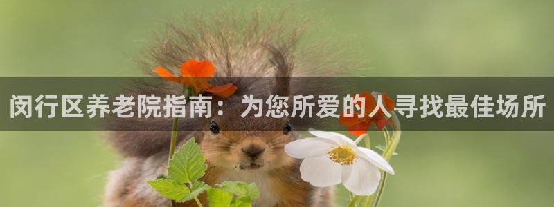 韦德游戏注册有风险吗