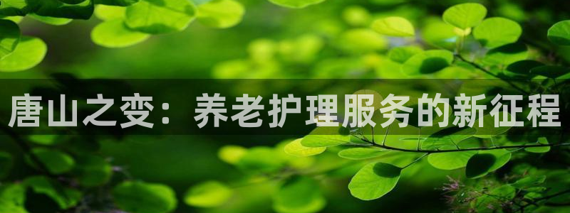 韦德游戏注册要用驾驶证嘛