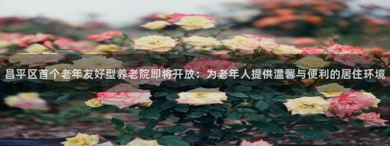 韦德1946体育官方入口