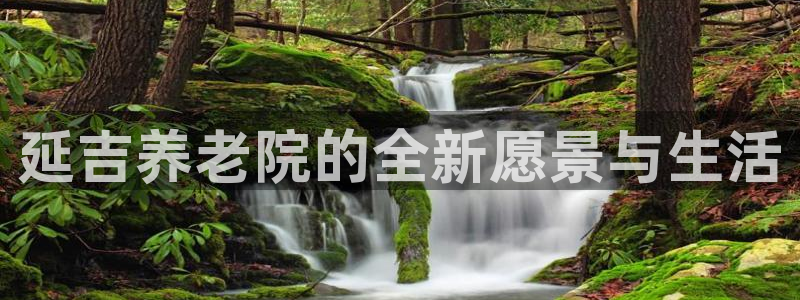 韦德1946国际娱乐